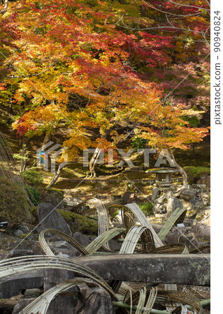 秋天的大關山公園 90940824