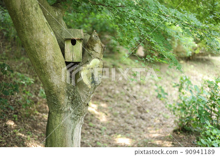 Birdhouse in forest 90941189
