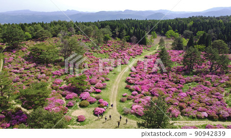 Drone shooting of Mt. Mannen and Miyama Kirishima 90942839