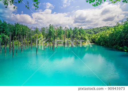 Blue sky and white clouds: Blue pond in Biei, Hokkaido in early summer Blue sky and white clouds: Blue pond in Biei, Hokkaido in early summer 90943973