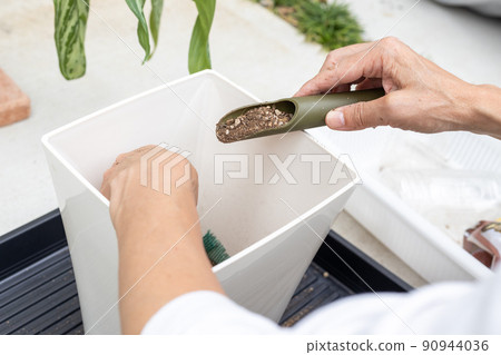 老人在花盆中重新種植觀葉植物白鷺枝 90944036