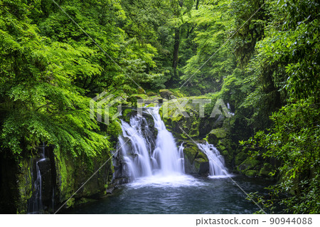 Kikuchi Gorge with beautiful fresh green in early summer Kikuchi Gorge with beautiful fresh green in early summer 90944088