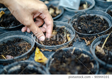 Adult's hand is holding and proping up the sapling in blac plastic flowerpot. Adult's hand is holding and proping up the sapling in blac plastic flowerpot. 90944101