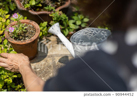 Senior woman watering plants with a white watering can in the garden of the house Senior woman watering plants with a white watering can in the garden of the house 90944452