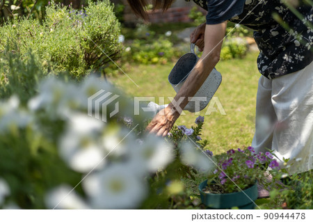 在房子的花園裡用白色噴壺澆水的老婦人 在房子的花園裡用白色噴壺澆水的老婦人 90944478