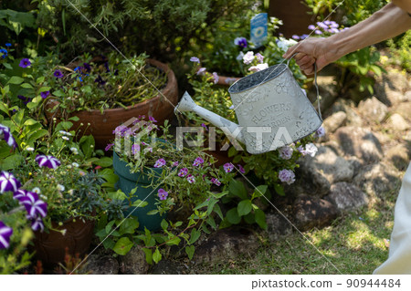 Senior woman watering plants with a white watering can in the garden of the house Senior woman watering plants with a white watering can in the garden of the house 90944484
