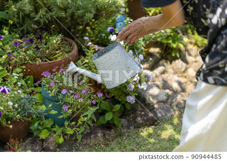 Senior woman watering plants with a white watering can in the garden of the house Senior woman watering plants with a white watering can in the garden of the house 90944485