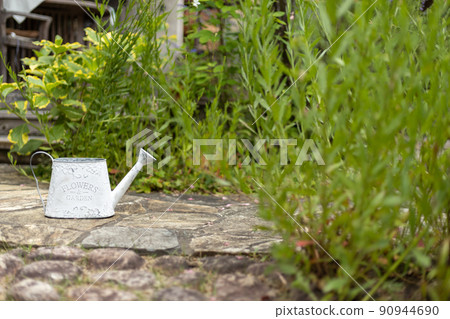 花園裡的白錫噴壺 花園裡的白錫噴壺 90944690