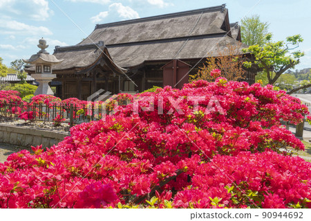 Nakayama Potter的圓頂 Nakayama Potter的圓頂 90944692