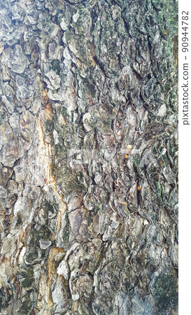 Dark gray tree bark texture background Dark gray tree bark texture background 90944782