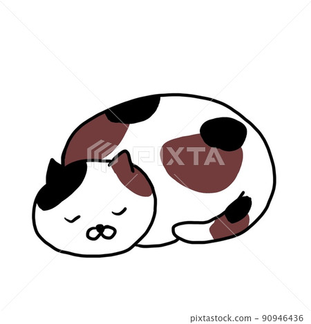 Sleeping cat Sleeping cat 90946436