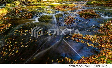 菊池峽“紅葉風光”山谷上游，水流落葉風光 90946943