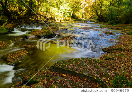 Kikuchi Gorge "Autumn leaves scenery" Upstream of the valley, water flow and deciduous scenery 90946979
