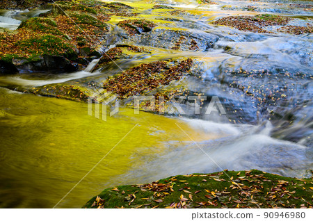 Kikuchi Gorge "Autumn leaves scenery" Upstream of the valley, water flow and deciduous scenery 90946980
