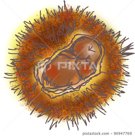 Three chestnuts stuck in the chestnut 90947769