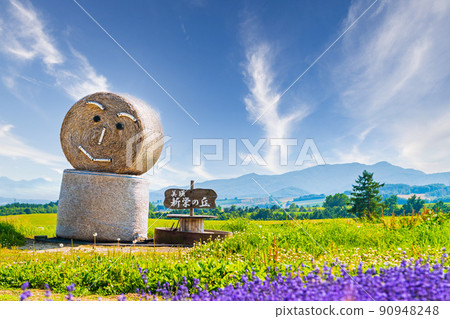 北海道初夏美瑛町Shinei-no-Oka觀察表演 90948248