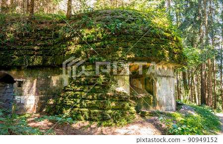 Old overgrown bunker in an austrian Forrest 90949152
