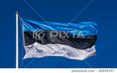 Flag of Estonia 90949547