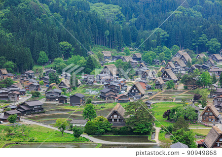 [岐阜縣]新鮮的綠色世界遺產“白川鄉” 90949868