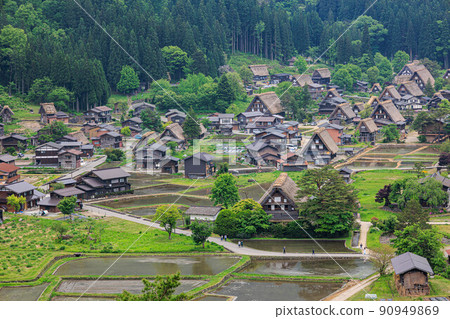 [岐阜縣]新鮮的綠色世界遺產“白川鄉” 90949869