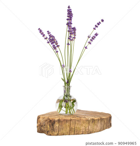 Lavender flowers, bouquet on white background. Herbal Lavender flowers, bouquet on white background. Herbal 90949965