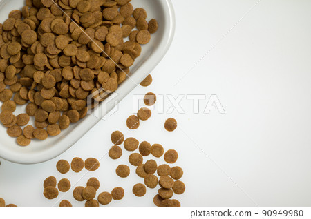 Cat food 90949980