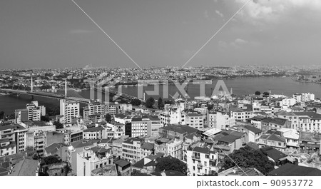 Cityscape of Istanbul, Turkey with Golden Horn Cityscape of Istanbul, Turkey with Golden Horn 90953772