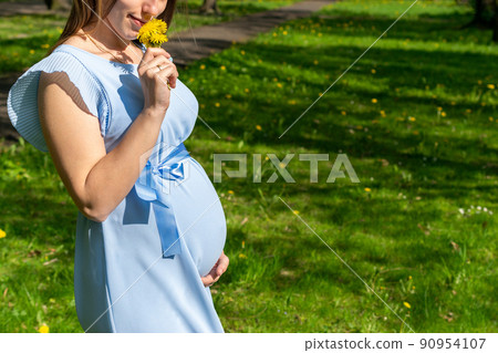 Healthy Pregnancy woman. Happy maternity mother in summer park. Baby belly. Pregnant walking nature. Concept of pregnancy, maternity, expectation. Healthy Pregnancy woman. Happy maternity mother in summer park. Baby belly. Pregnant walking nature. Concept of pregnancy, maternity, expectation. 90954107