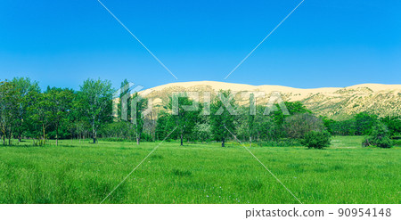 natural landscape with a huge sand dune Sarykum in the background natural landscape with a huge sand dune Sarykum in the background 90954148