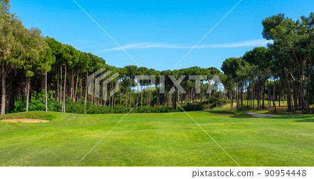 Panoramic view of beautiful golf course with pines on sunny day. Golf field with fairway, lake and pine-trees Panoramic view of beautiful golf course with pines on sunny day. Golf field with fairway, lake and pine-trees 90954448