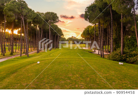 Tee box area at golf course at sunset with beautiful sky. Scenic panoramic view of golf fairway. Golf field with pines Tee box area at golf course at sunset with beautiful sky. Scenic panoramic view of golf fairway. Golf field with pines 90954458
