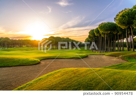 Golf course at sunset with beautiful sky and sand trap. Scenic panoramic view of golf fairway with bunker. Golf field with pines 90954478