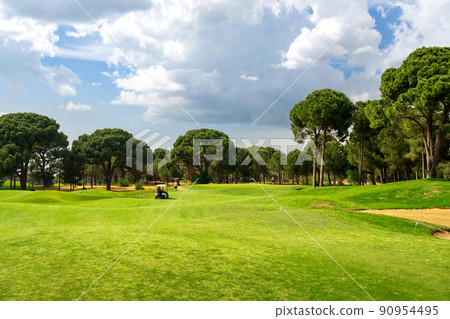 Panoramic view of beautiful golf course with pines on sunny day. Golf field with fairway, lake and pine-trees Panoramic view of beautiful golf course with pines on sunny day. Golf field with fairway, lake and pine-trees 90954495