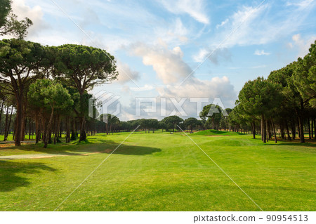 Panoramic view of beautiful golf course with pines on sunny day. Golf field with fairway, lake and pine-trees Panoramic view of beautiful golf course with pines on sunny day. Golf field with fairway, lake and pine-trees 90954513