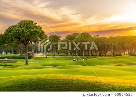 Golf course at sunset with beautiful sky. Scenic panoramic view of golf fairway. Golf field with pines 90954525