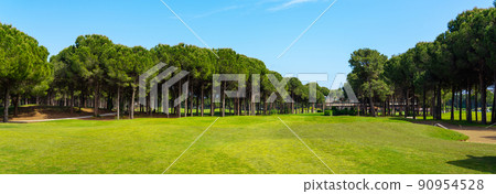 Panoramic view of beautiful golf course with pines on sunny day. Golf field with fairway, lake and pine-trees Panoramic view of beautiful golf course with pines on sunny day. Golf field with fairway, lake and pine-trees 90954528