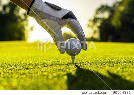 Hand of golfer wearing glove placing golf ball on a tee at golf course with sunlight on background Hand of golfer wearing glove placing golf ball on a tee at golf course with sunlight on background 90954581