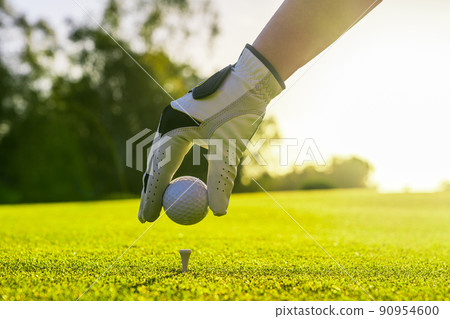 Closeup of golfer wearing glove placing golf ball on a tee at golf course Closeup of golfer wearing glove placing golf ball on a tee at golf course 90954600
