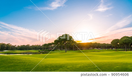 Panorama of golf course at sunset with beautiful sky. Scenic panoramic view of golf fairway. Golf field with pines Panorama of golf course at sunset with beautiful sky. Scenic panoramic view of golf fairway. Golf field with pines 90954606