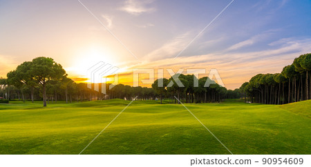Scenic panoramic view of Golf course at sunset with beautiful sky. Golf fairway with pines Scenic panoramic view of Golf course at sunset with beautiful sky. Golf fairway with pines 90954609