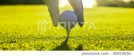 Closeup of golfer wearing glove placing golf ball on a tee at golf course Closeup of golfer wearing glove placing golf ball on a tee at golf course 90954636