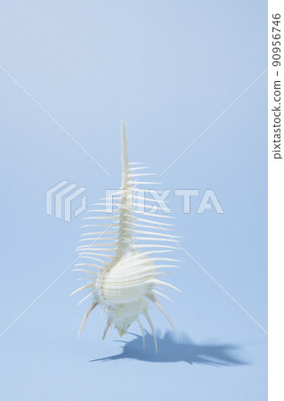 在藍色背景的珩磨殼 90956746