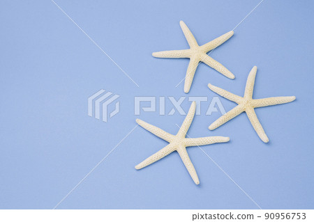 Starfish on a blue background 90956753