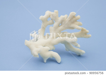 White coral on a blue background 90956756
