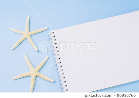 White starfish and sketchbook 90956760