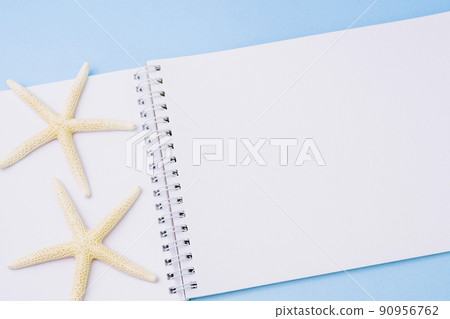White starfish and sketchbook 90956762