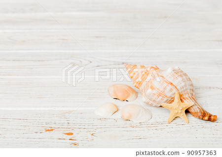 Beach seashells on colored background. Mock up with copy space Beach seashells on colored background. Mock up with copy space 90957363