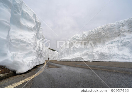 初夏的乘倉高原雪牆[長野縣] 90957463