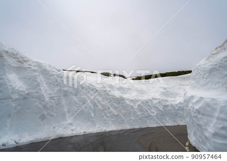 初夏的乘倉高原雪牆[長野縣] 90957464