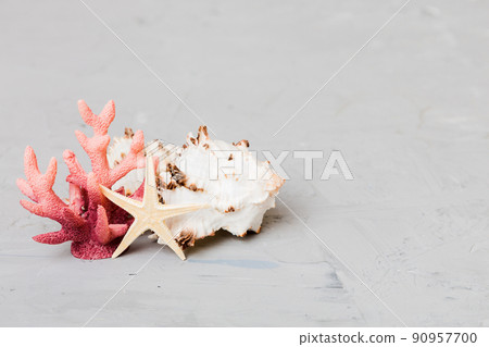 Beach seashells on colored background. Mock up with copy space 90957700